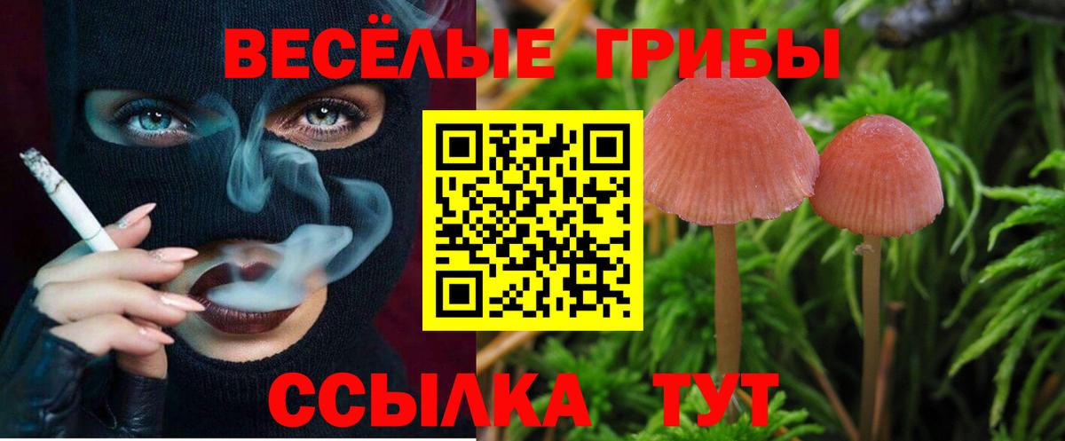 Псилоцибиновые грибы Magic Shrooms Реж