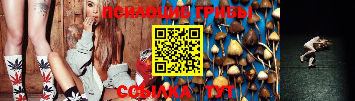 Псилоцибиновые грибы Psilocybine cubensis  Вход с VPN  Реж 